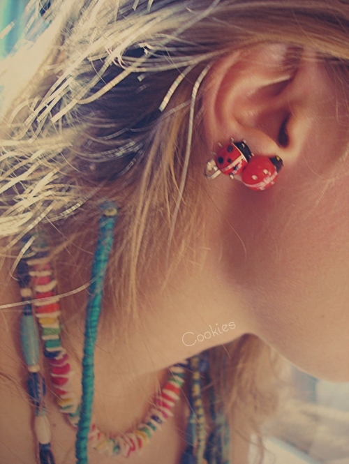 colors, earrings and ladybird