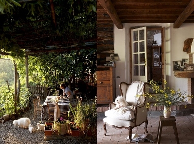 armchair,  country and  diptych