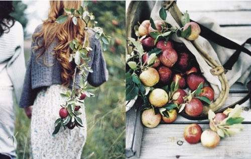 apples,  fruit and  girls