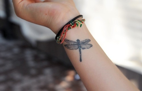 beautiful, dragonfly and hand