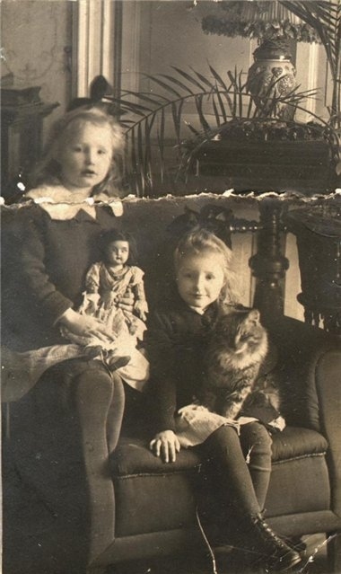1920s, bows and cats