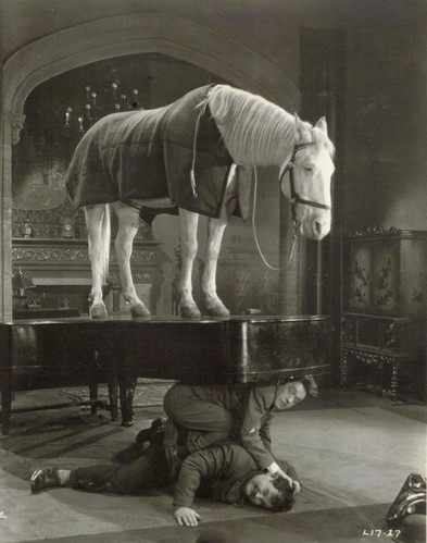 horse, piano and random