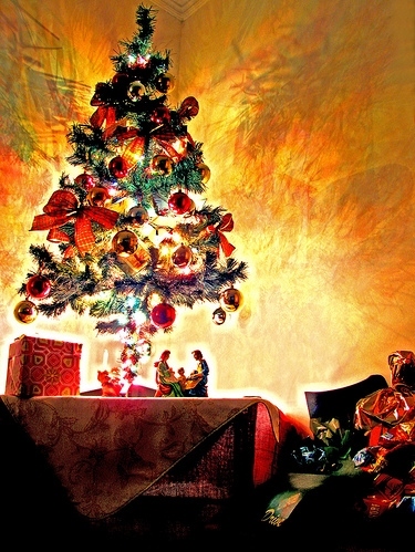 box, christmas and christmas tree