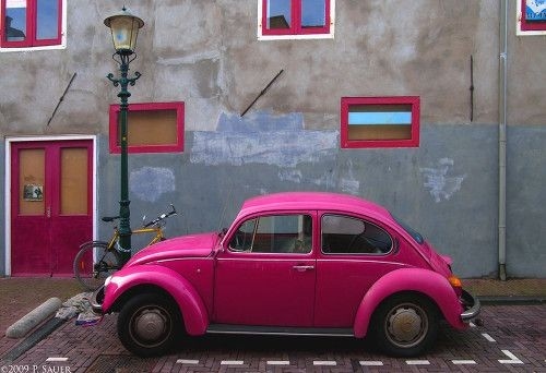 beatle, beetle and car