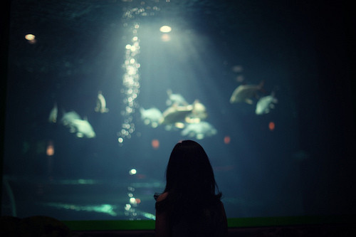 aquarium, fish and girl