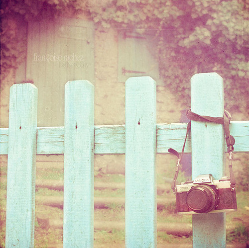 camera, camera fence and fence