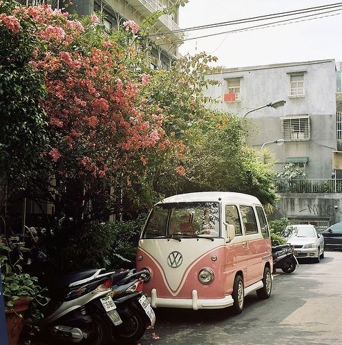 1970, car, cityscape, flower, pink, vintage