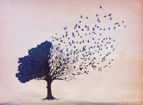 arbre, bird and birds