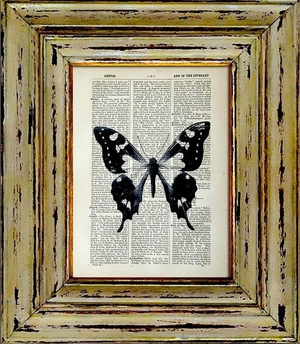 art, beautiful and butterfly