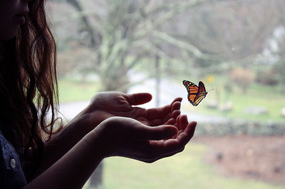 beautiful,  butterfly and  child