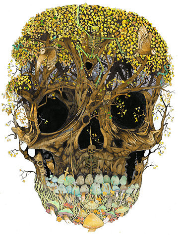 art birds drawings illustration music skull