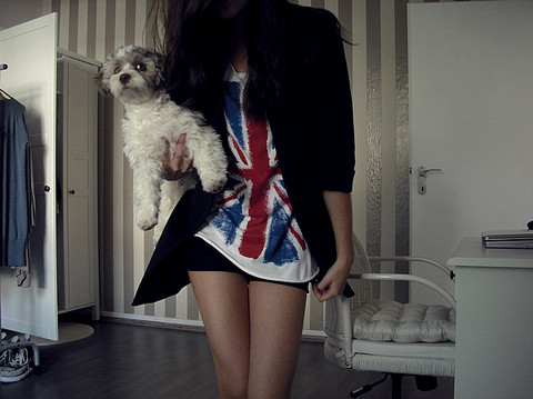 britain, cute and dog