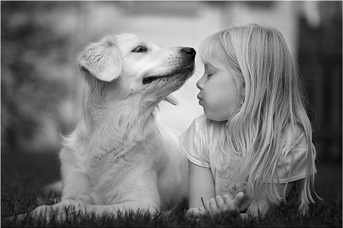 child, cute and dog