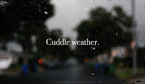 cuddle,  cuddle weather and  cute