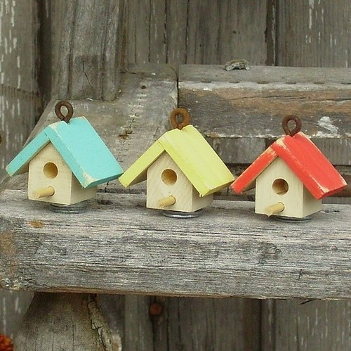 birdhouse, birds and casas
