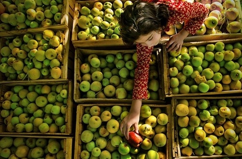 apples, beautiful and beauty