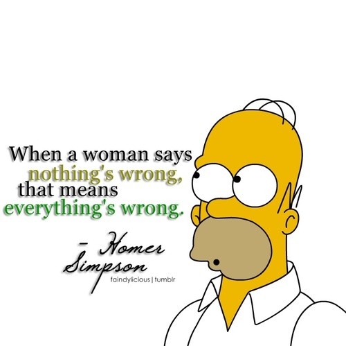 everything is wrong, funny and homer simpson