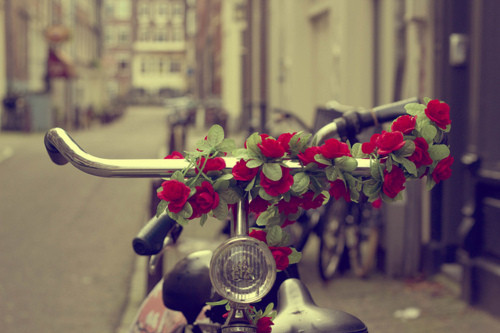bike, flower and flowers