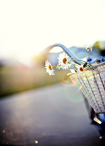 basket, beauty and flowers
