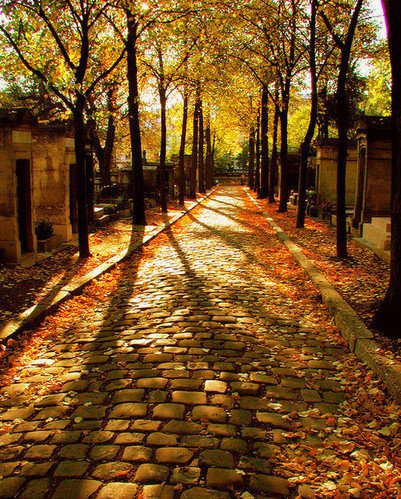 autumn, beauty and cemetry