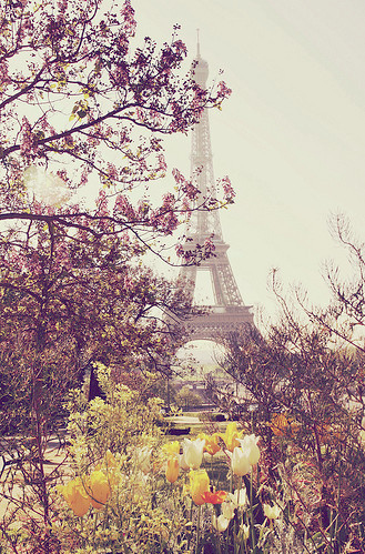 eiffel tower, flower and flowers