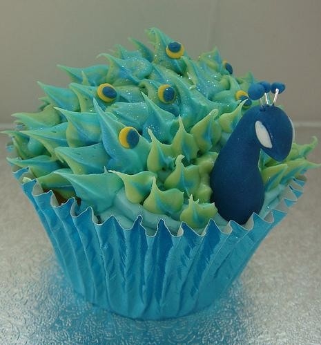 birds, cool and cupcake