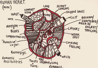 anatomy,  art and  comfort