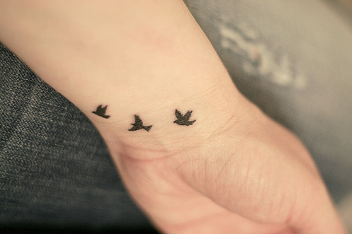 bird dreamer, birds, birds tattoo, brain storm, cute, fashion
