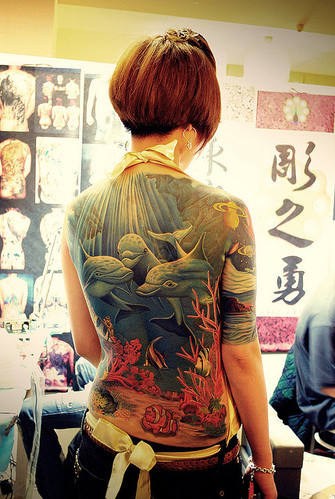 back, dolphins and girl