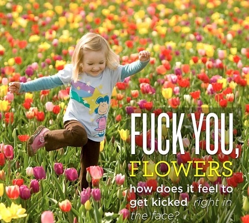 design, flowers and funny