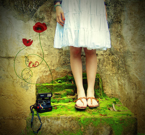 camera, dress and flower