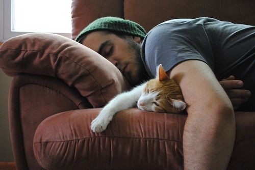 cat, cute and guy
