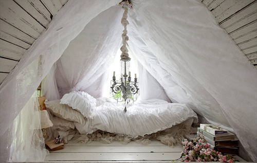 bed,  bedroom and  canopy