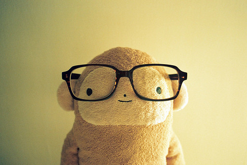animal, cute and glasses