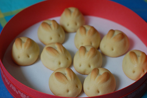 biscuit, biscuits and bunnies