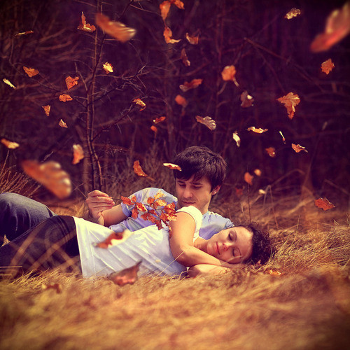 autumn, couple, cute, dream, field, hug