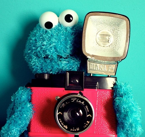 camera, cookie monster, cute, diana, foto, funny