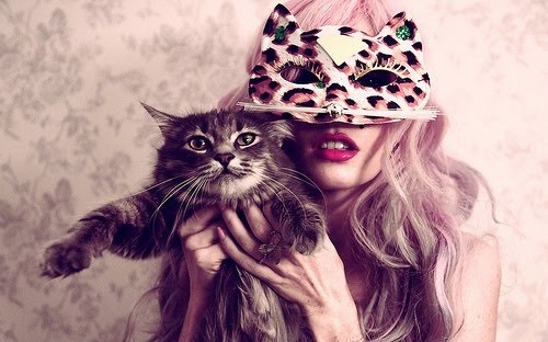 fashion,  kiss and  kitten