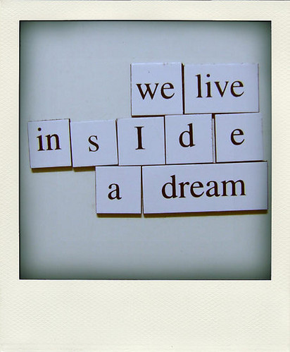 dream, magnets and polaroid