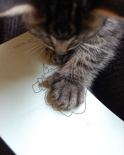 animal, animals and cat