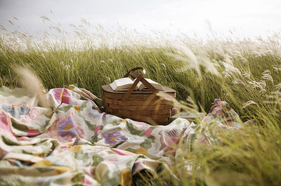 basket,  book and  country