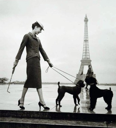 Одри Хепберн, собака, Eiffel, Париж, марочные