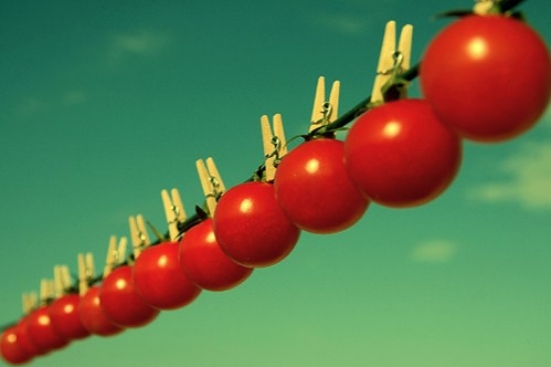 blue, clothesline and clothespins
