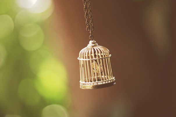 birdgage, bokeh and by jesica almaguer