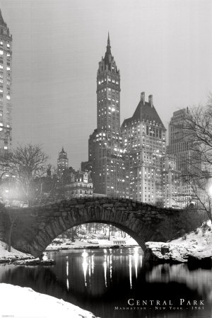 black and white, central park and new york