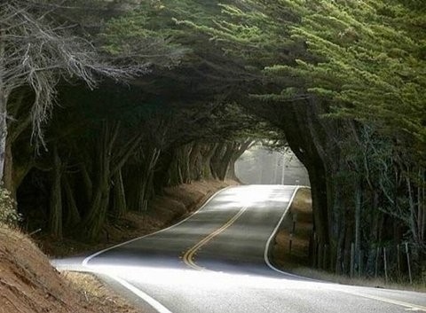 carretera, endless and environment