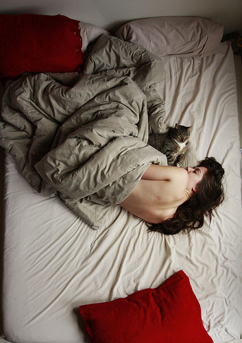 animal, bed and bed woman