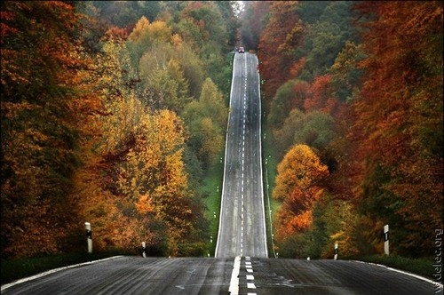 art, autumn and autumn road