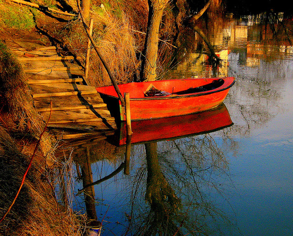 boat, lake and nature