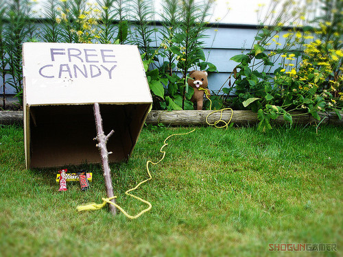 candy, free candy and pedobear